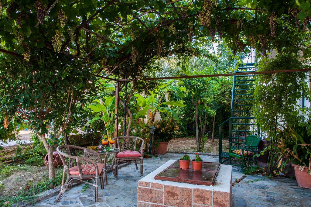Zante Nest Studios & Apartments Alykanas  Bagian luar foto
